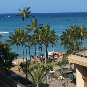 Meet your Posher, Sunny